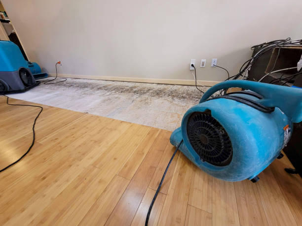 Professional Sewage Cleanup technician working in Detroit, OR